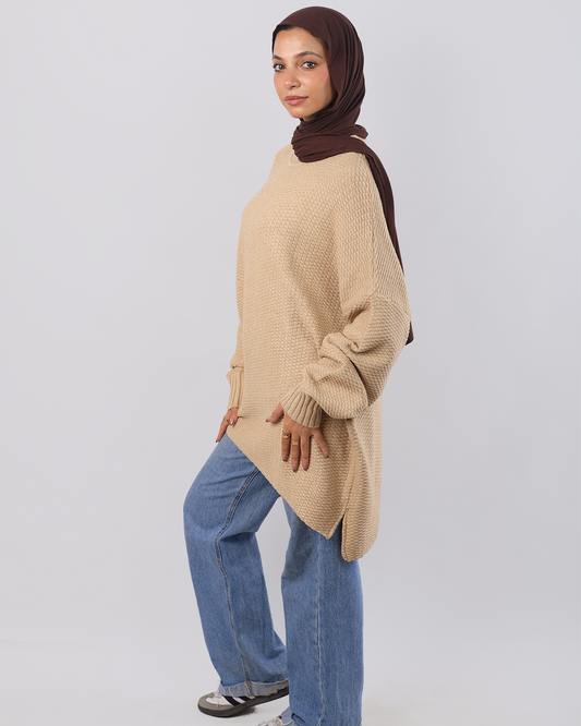 Cozy Plover
