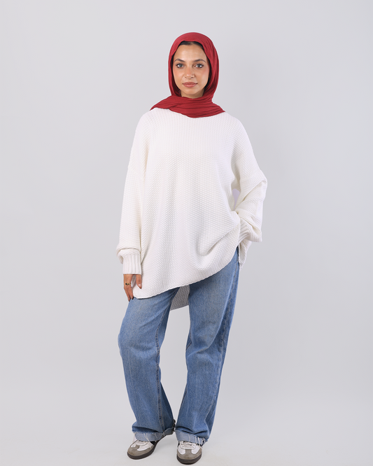 Cozy Plover